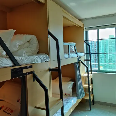 Three Cats Hostel (Shenzhen Luohu Port)