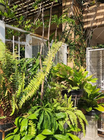 รูปภาพของBaan Nara 15