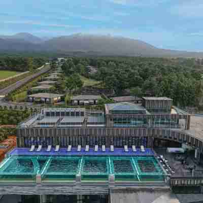 엠버 퓨어힐 호텔 앤 리조트 제주 Hotel Exterior