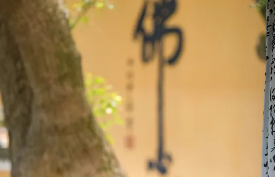 普陀山觀堂酒店