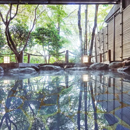 Tokyu Vacations Hakone Gora