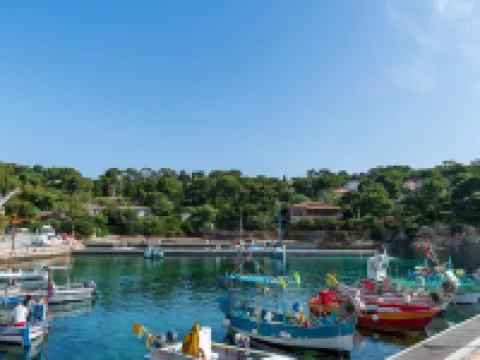 Deluxe Villa  view of the Or Islands-California Hotels in Carqueiranne