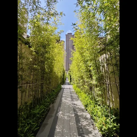 Pu Shu Homestay (Heyuan Longguangcheng Branch)