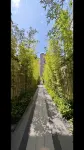 Pu Shu Homestay (Heyuan Longguangcheng Branch) - 마운틴 뷰