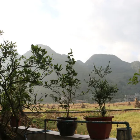 Qingwu Hotel (Nizhu River Canyon)