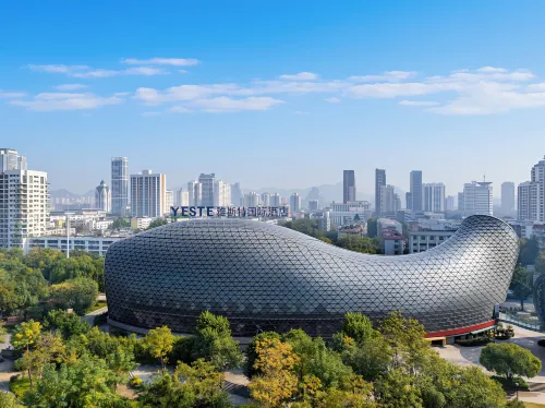 Yeste International Hotel (Liuzhou Cruise Terminal Shuangyu Hui River View Branch) - Romantic