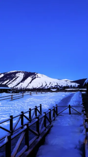 森脈設計師咖啡民宿(喀納斯景勝地) カナス川周辺のホテル