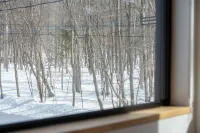 COCO VILLA NISEKO - Mountain view