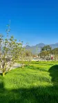 Designer Villa • Jiudu Boutique Stay (Pingxiang Wugongshan Scenic Area Management Committee)