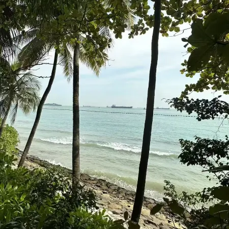 Dongping Coral Hotel