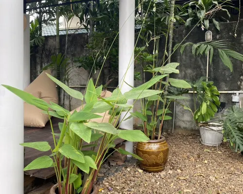Baaninkan Homestay in kanchanaburi city Ngoại thất Photos