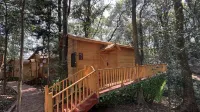 Senlin Riverside Vacation Apartment