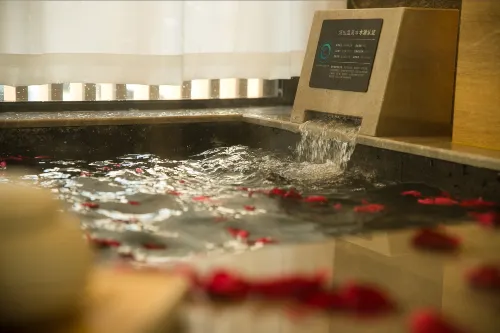 Nanjing LSX hotspring hotel