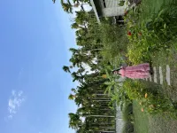 Areca Muine Homestay
