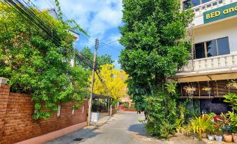 Bed and Terrace Guesthouse Chiang Mai