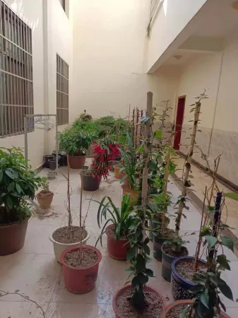 Dayao Chunxi Hotel Отели рядом с достопримечательностью «Shiyang Confucius Temple»