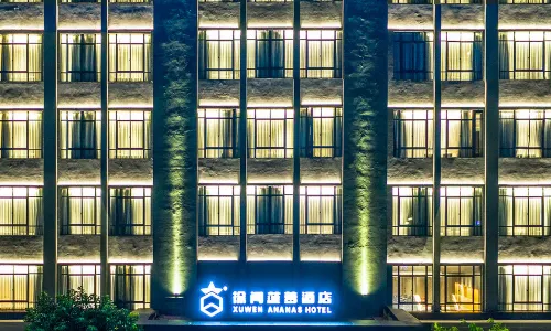 Xuwen Pineapple Hotel
