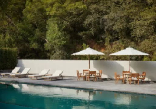 Suyab Mountain Encounter