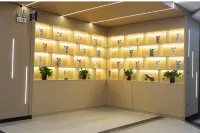 聚陽樓精品飯店（陽江陽西凱旋商業廣場店） - 寵物友善