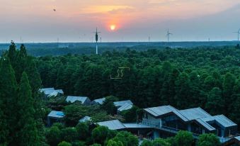 Xinzai Forest Jiexin Chanshe (Jinhu Water Forest Scenic Area)
