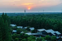 Xinzai Forest Jiexin Chanshe (Jinhu Water Forest Scenic Area)