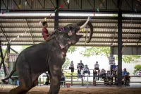 โรงแรมทองธารินทร์ - วิว