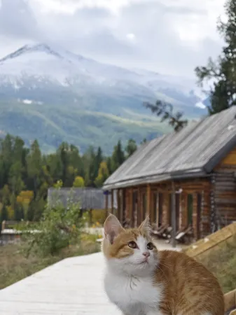 QINGYISHUIYUNJIAN Отели рядом с достопримечательностью «Genghis Khan Point Sets»