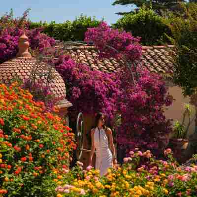 Villa Miraé by Inwood Hotels - Cap d'Antibes Hotel Exterior