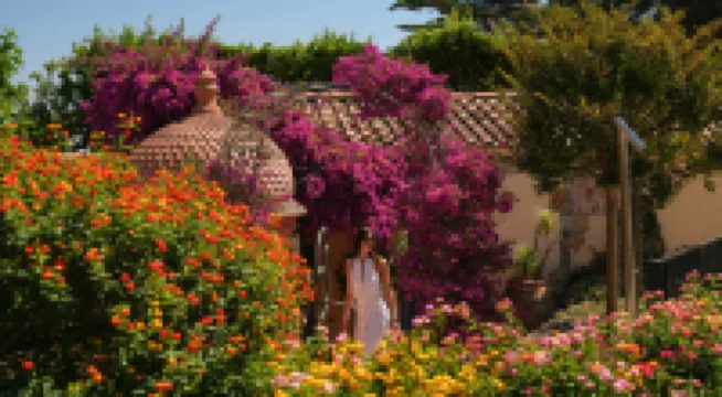 Villa Miraé by Inwood Hotels - Cap d'Antibes