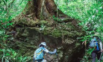 Qinglongtan Shanshui Inn, Bomaolan