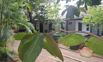 Eco Nature Lodge - Habarana