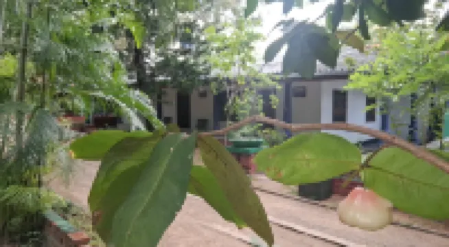 Eco Nature Lodge - Habarana