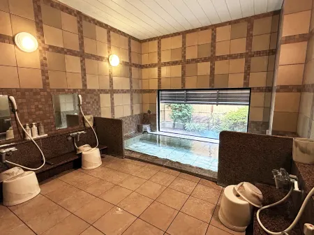 HOTEL ROUTE-INN DAI-NI SUWA INTER