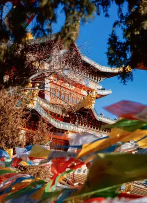 Shangri-La Shangri La Tianjiang Linka Healing Travel Homestay (Dukezong East Gate) - 温泉