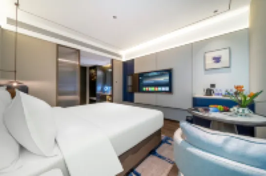 美豪酒店（市政府龍門高鐵站店） 鄰近隋唐城遺址植物園的酒店