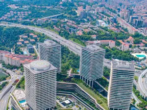 Провинция Стамбул: топ-20 в категории «Премиум Отели»