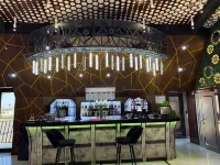 Royal Hotel Navoi - bar