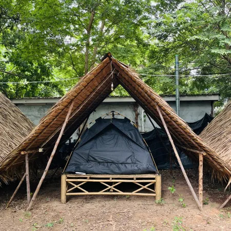 Zulu land Kohlarn