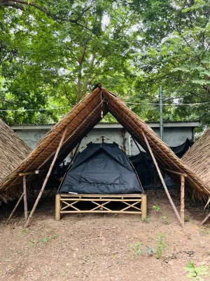 ซูลู แลนด์ เกาะล้าน - ที่มีบาร์
