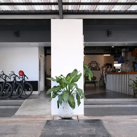 Blu Monkey Hotel Suratthani