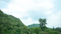 Fortune D Plus Hotel Khaoyai Hotel dekat Farm Chokchai