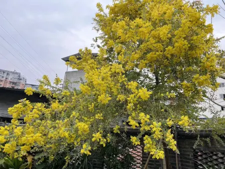 Green Heart Yard Homestay