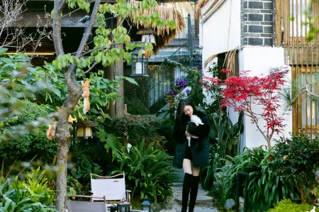 ‌The Secret Garden of Cats & Wolf's Den | Barista Courtyard Cafe & Inn (Wuyi Street)