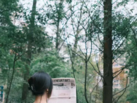 First Forest Hot Spring Hotel FLOWER BAY Hotels in Dayi