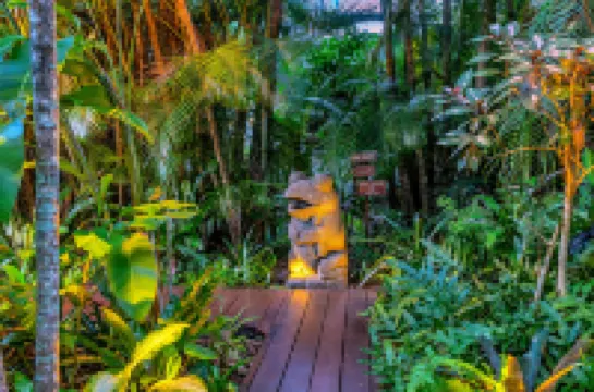 The Palms at Palm Cove