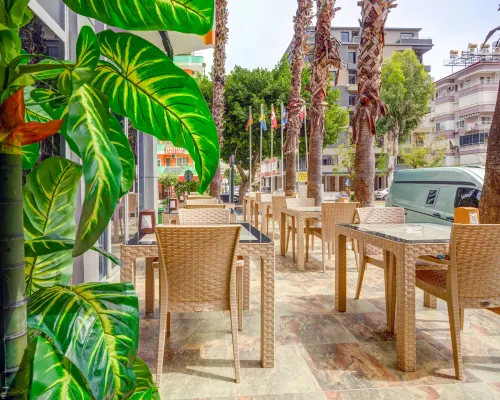 Kleopatra Arsi Hotel الأماكن العامة Photos