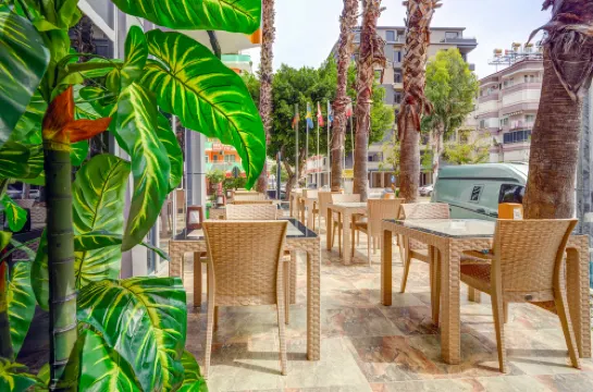 Kleopatra Arsi Hotel الأماكن العامة Photos