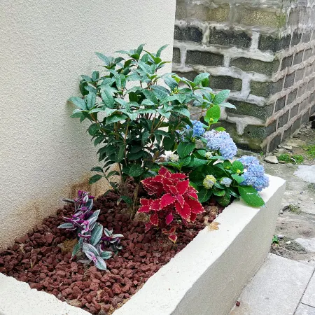 Pingtan Mountains and Water Homestay