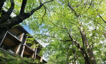 Laforet Shuzenji Sanshisuimei