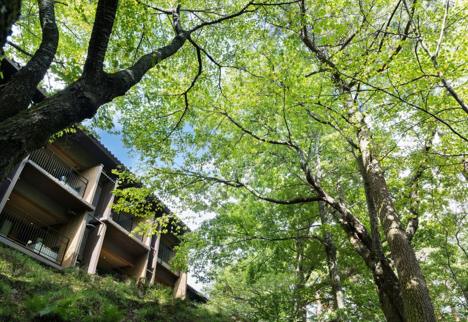 1. 라포레 슈젠지 ..